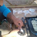 پروژه فیبر نوری شهرک صنعتی کرمان